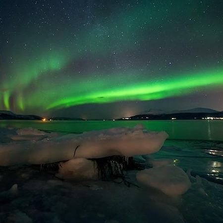 Malangen Apartment Kjerkevik Exteriér fotografie